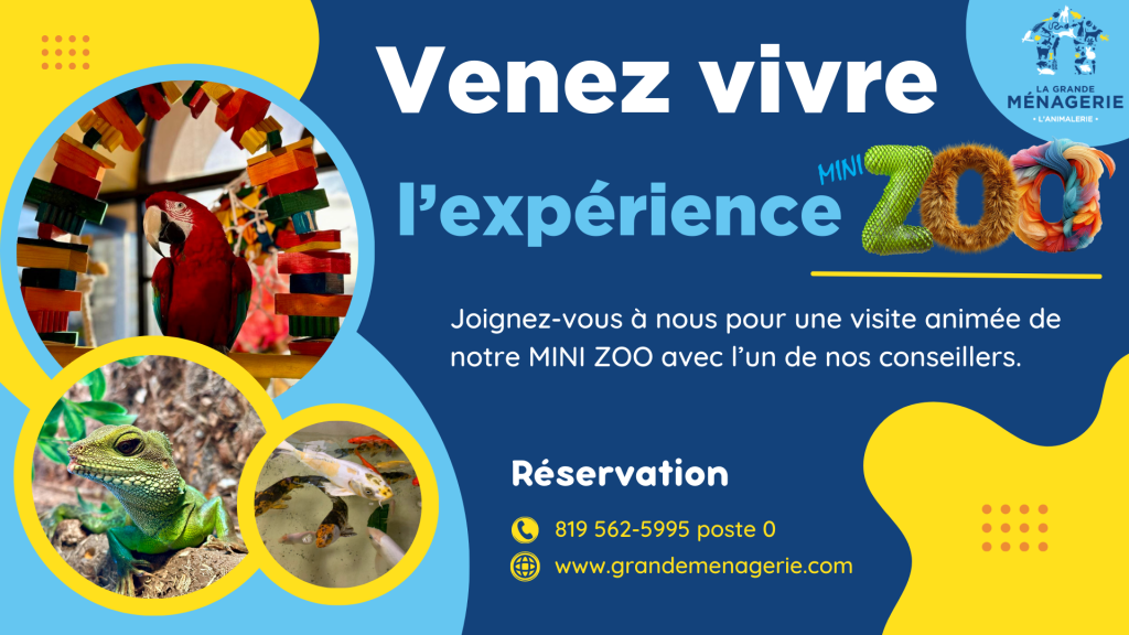 Expérience Mini-Zoo