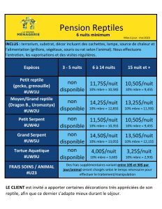 Prix pension reptiles
