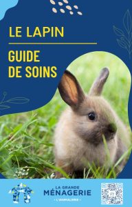 Guide de soins pour le lapin