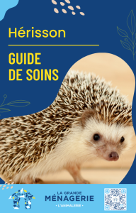 Guide de soin du Hérisson
